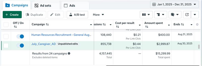 Meta Ads Manager 2025 — 4.1M results across 24 campaigns for $15,299